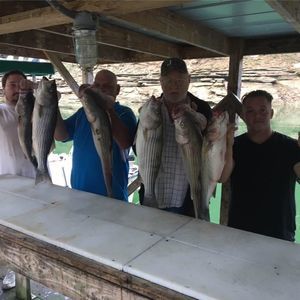 Meet your Posher, Charlie